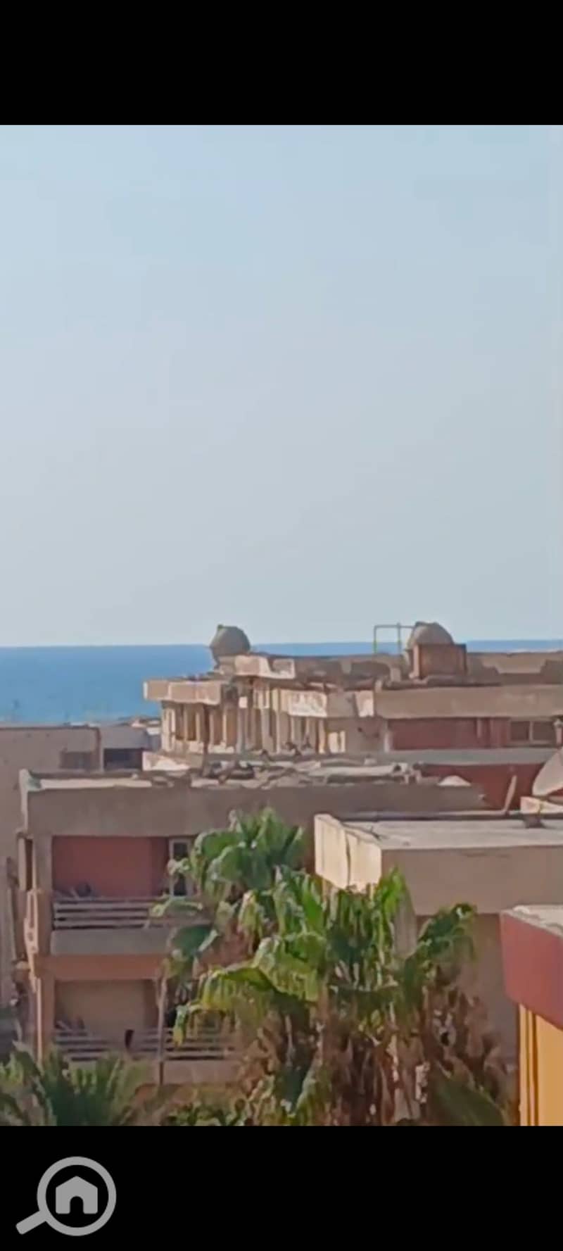 8 139441. jpg