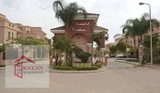 Clinic for Rent in Sheikh Zayed, Giza - 1000478663. jpg Clinic for Rent in Sheikh Zayed, Giza - 1000478663. jpg