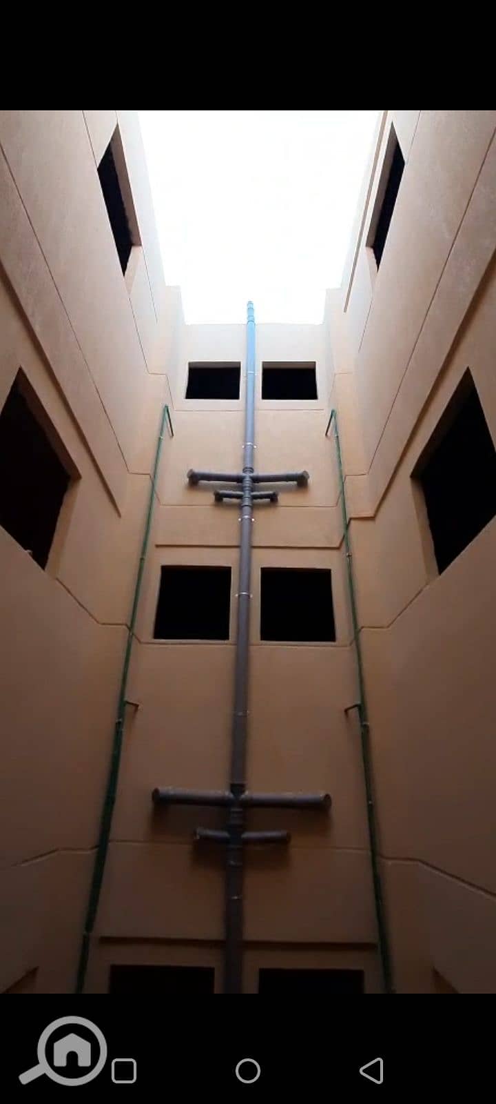 6 1002166584. png