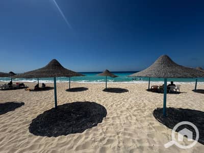2 Bedroom Chalet for Sale in North Coast, Matruh - WhatsApp Image 2026-10-13 at 2.43. 43 PM. jpeg 2 Bedroom Chalet for Sale in North Coast, Matruh - WhatsApp Image 2026-10-13 at 2.43. 43 PM. jpeg