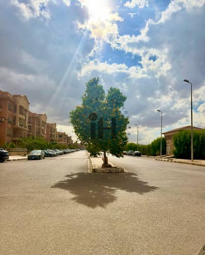 فلیٹ 3 غرف نوم للبيع في الشيخ زايد، الجيزة - IMG_1206. jpeg فلیٹ 3 غرف نوم للبيع في الشيخ زايد، الجيزة - IMG_1206. jpeg