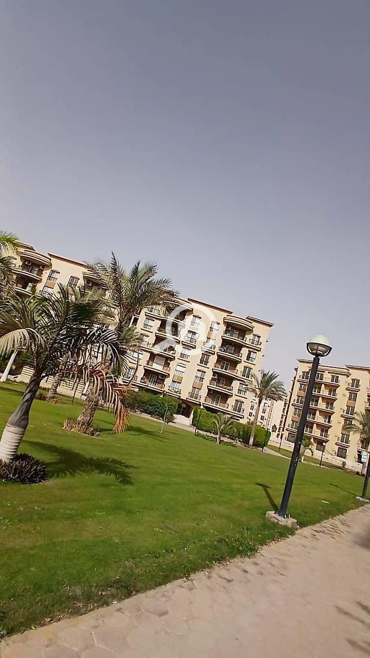 20 1000227156. jpg