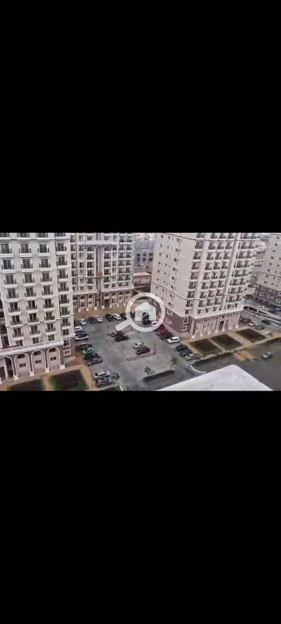 2 Bedroom Apartment for Rent in Moharam Bik, Alexandria - 1001373902. png 2 Bedroom Apartment for Rent in Moharam Bik, Alexandria - 1001373902. png
