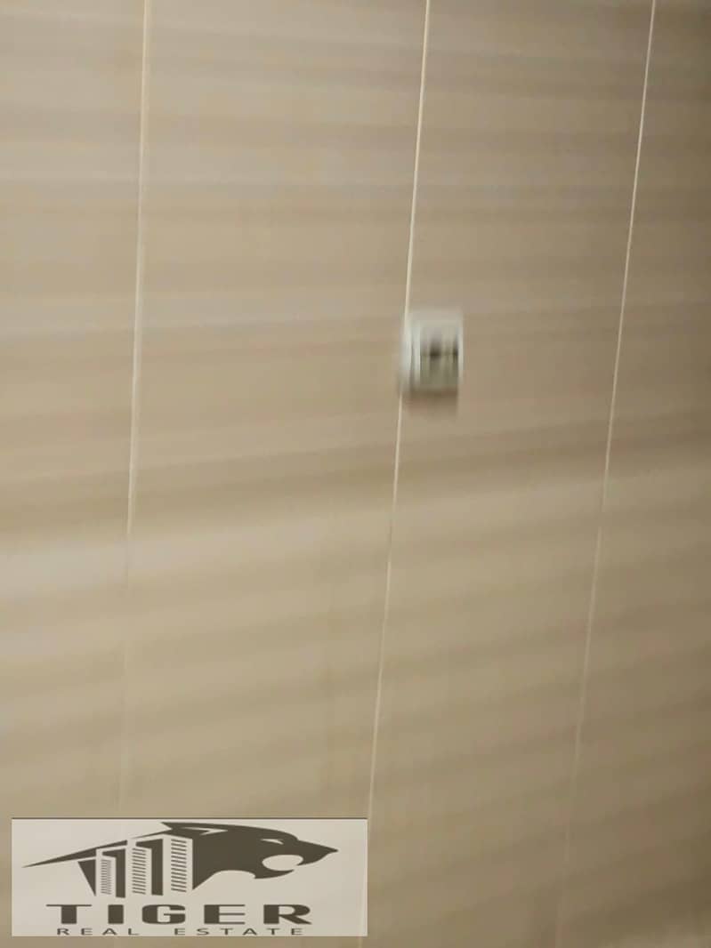 7 299827. jpg