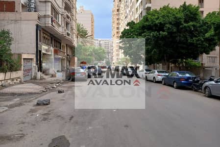 Office for Rent in Smoha, Alexandria - 1. jpg Office for Rent in Smoha, Alexandria - 1. jpg