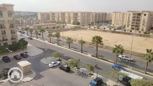 شقة 3 غرف نوم للايجار في القاهرة الجديدة، القاهرة - 553713. jpg شقة 3 غرف نوم للايجار في القاهرة الجديدة، القاهرة - 553713. jpg