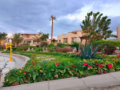 1 Bedroom Chalet for Sale in Ain Sukhna, Suez - شاليه مفروش للبيع في كورنادو مارينا العين السخنة – إطلالة بحرية وموقع 1 Bedroom Chalet for Sale in Ain Sukhna, Suez - شاليه مفروش للبيع في كورنادو مارينا العين السخنة – إطلالة بحرية وموقع