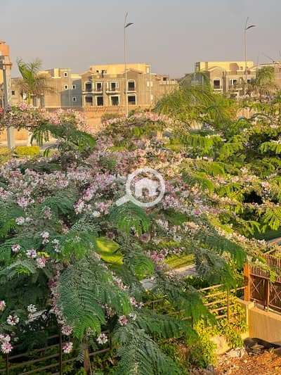 3 Bedroom Townhouse for Sale in Madinaty, Cairo - WhatsApp Image 2026-08-18 at 19.06. 46. jpeg