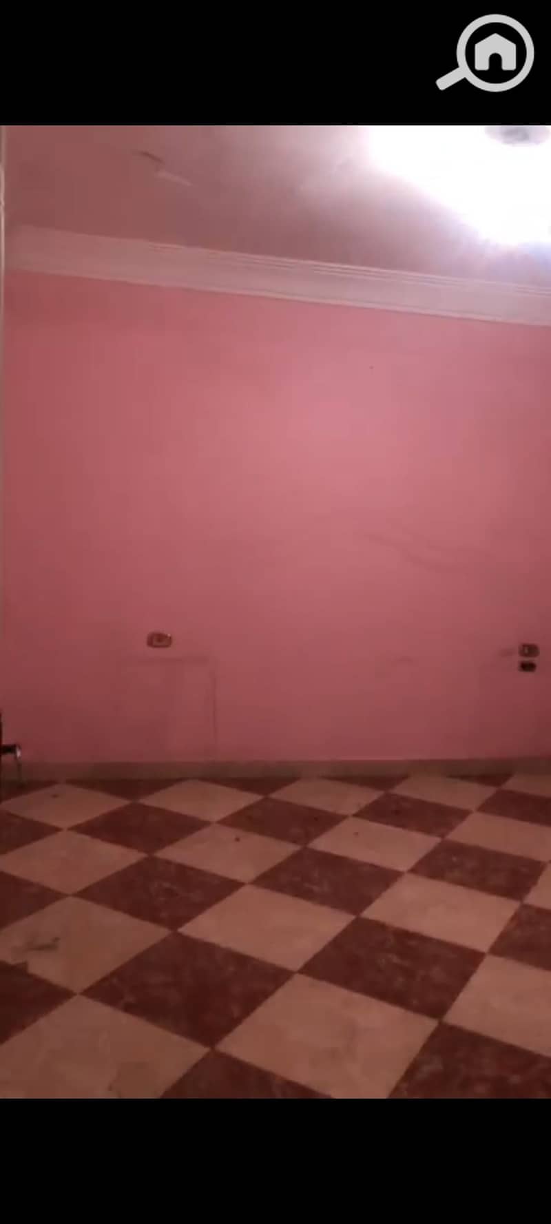 3 1000560327. jpg