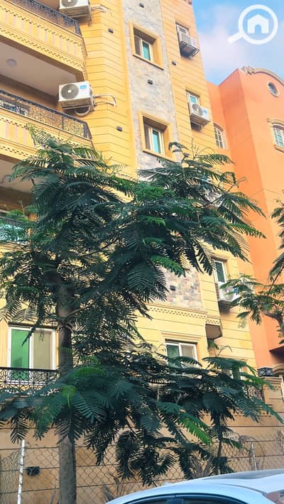 10+ Beds Other Residential for Sale in 6th of October, Giza - IMG_1737. jpeg