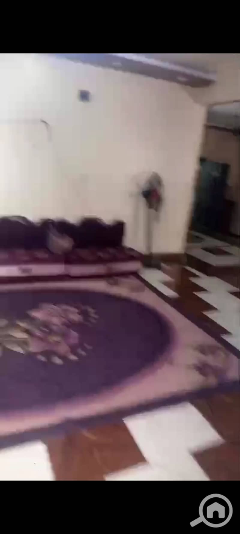 13 1000560405. jpg