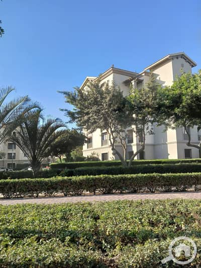3 Bedroom Flat for Sale in New Cairo, Cairo - 20260107_150954. jpg 3 Bedroom Flat for Sale in New Cairo, Cairo - 20260107_150954. jpg
