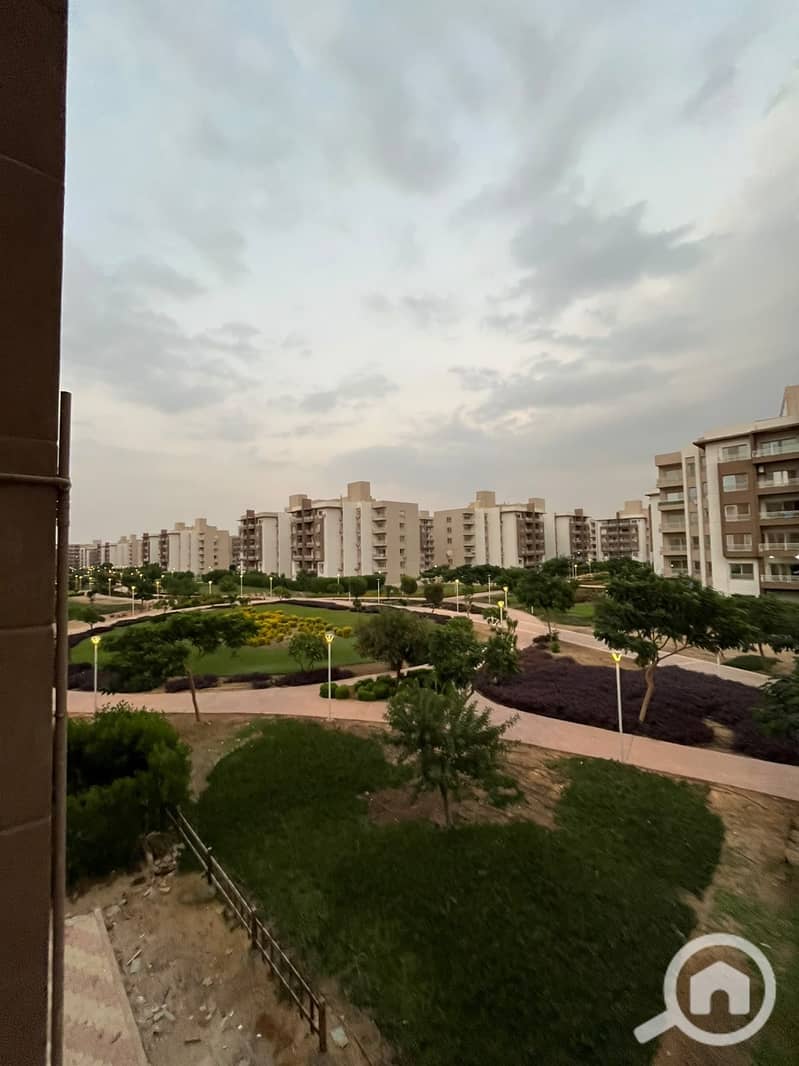 4 1000633433. jpg