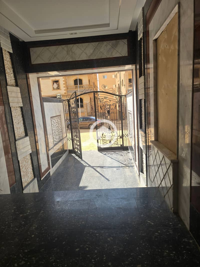 2 1001454796. jpg