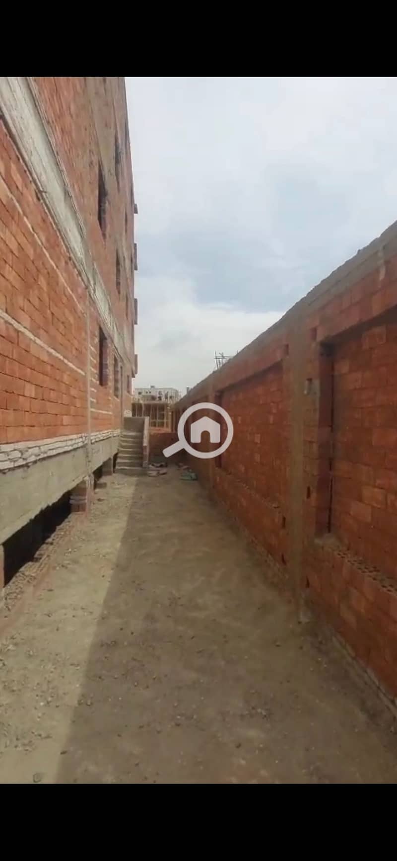 5 1001485436. jpg