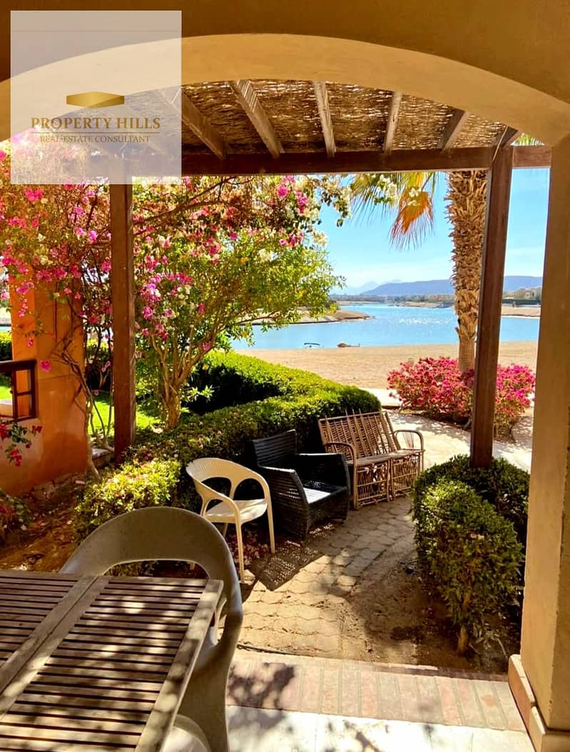 6 1001466764. jpg
