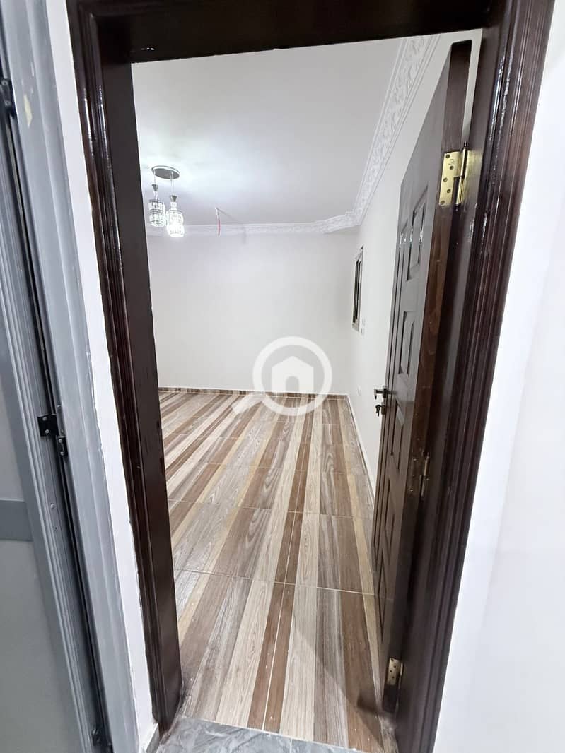 7 151661. jpg