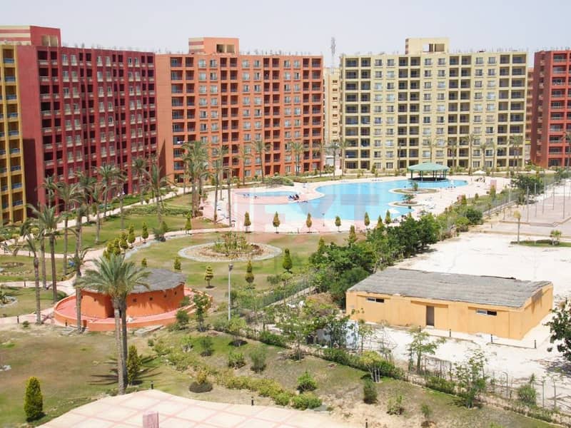7 139064625. jpg