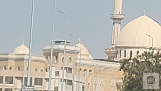 شقة 3 غرف نوم للايجار في القاهرة الجديدة، القاهرة - WhatsApp Image 2026-10-18 at 5.17. 40 PM. jpeg شقة 3 غرف نوم للايجار في القاهرة الجديدة، القاهرة - WhatsApp Image 2026-10-18 at 5.17. 40 PM. jpeg