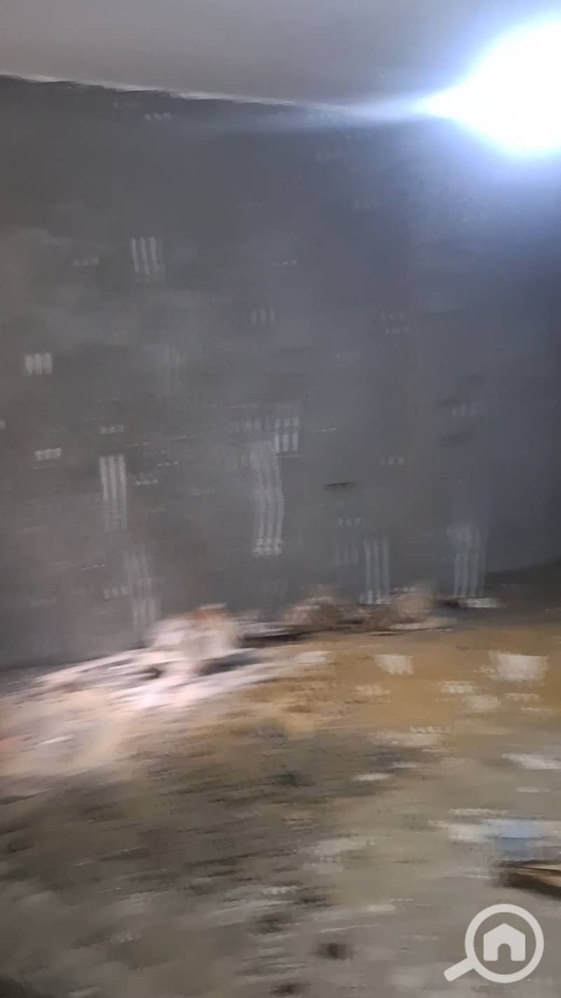 21 1000489411. jpg