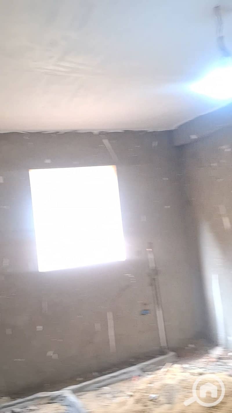 31 1000489404. jpg
