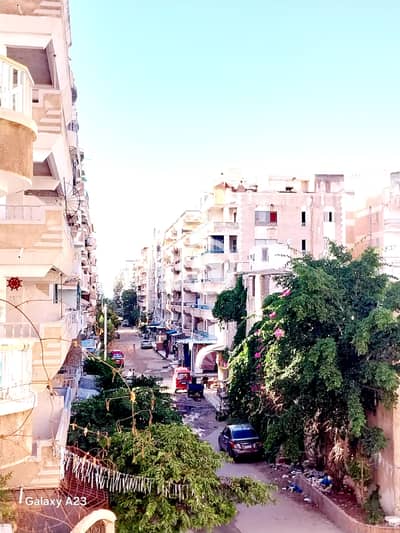 2 Bedroom Flat for Sale in Nakheel, Alexandria - 1000534870. heic 2 Bedroom Flat for Sale in Nakheel, Alexandria - 1000534870. heic
