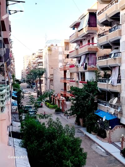 2 Bedroom Flat for Sale in Nakheel, Alexandria - 1000535045. heic 2 Bedroom Flat for Sale in Nakheel, Alexandria - 1000535045. heic