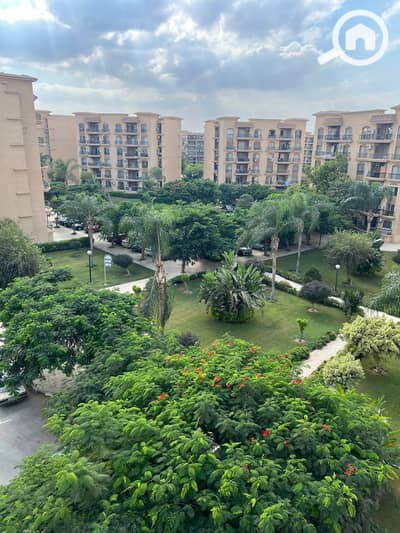 3 Bedroom Apartment for Sale in New Cairo, Cairo - WhatsApp Image 2026-10-18 at 12.13. 08 PM. jpeg 3 Bedroom Apartment for Sale in New Cairo, Cairo - WhatsApp Image 2026-10-18 at 12.13. 08 PM. jpeg