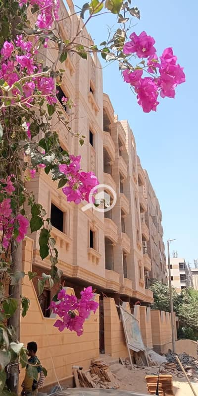 فلیٹ 3 غرف نوم للبيع في حدائق الاهرام، الجيزة - WhatsApp Image 2026-10-11 at 12.35. 07 PM. jpeg فلیٹ 3 غرف نوم للبيع في حدائق الاهرام، الجيزة - WhatsApp Image 2026-10-11 at 12.35. 07 PM. jpeg
