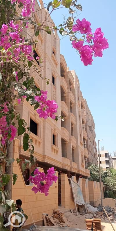 فلیٹ 3 غرف نوم للبيع في حدائق الاهرام، الجيزة - WhatsApp Image 2026-10-11 at 12.35. 07 PM. jpeg فلیٹ 3 غرف نوم للبيع في حدائق الاهرام، الجيزة - WhatsApp Image 2026-10-11 at 12.35. 07 PM. jpeg