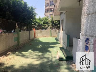 فلیٹ 2 غرفة نوم للايجار في مدينة نصر، القاهرة - WhatsApp Image 2026-10-18 at 8.11. 51 PM. jpeg فلیٹ 2 غرفة نوم للايجار في مدينة نصر، القاهرة - WhatsApp Image 2026-10-18 at 8.11. 51 PM. jpeg