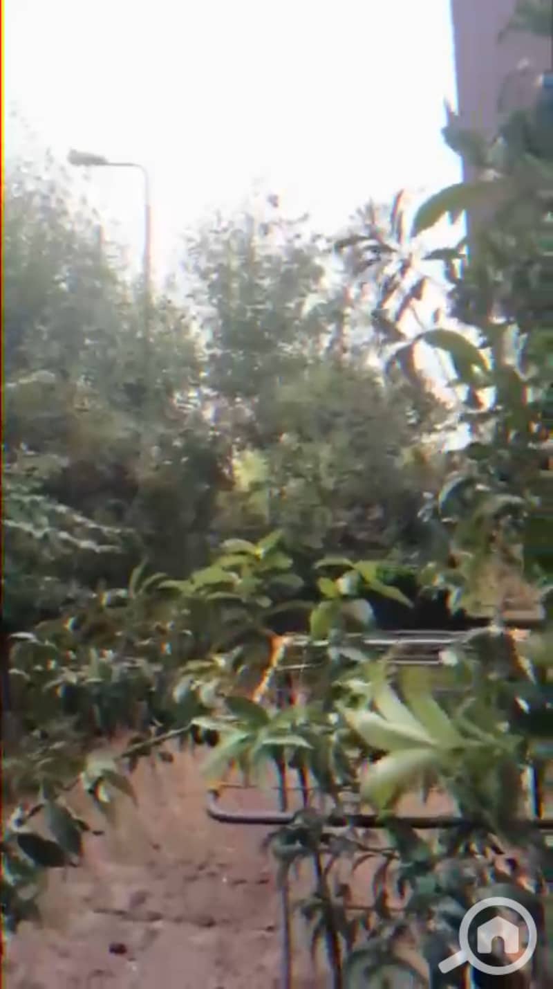 8 IMG_0245. jpeg