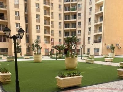 2 Bedroom Apartment for Sale in Smoha, Alexandria - 476861054_122212946930222894_7437546769793632823_n. jpg 2 Bedroom Apartment for Sale in Smoha, Alexandria - 476861054_122212946930222894_7437546769793632823_n. jpg