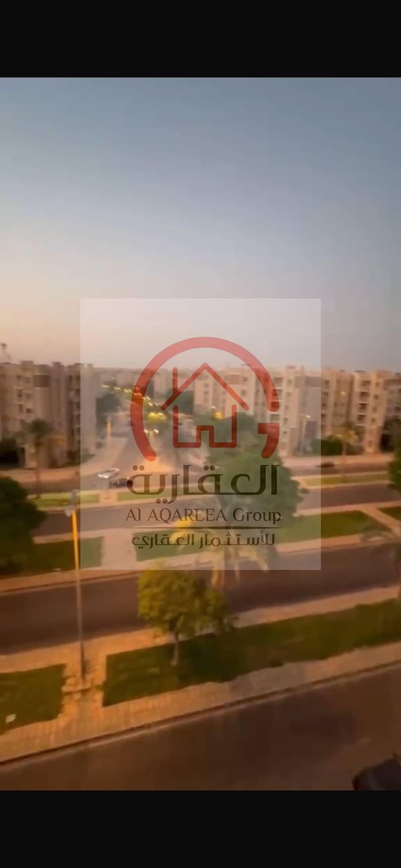 4 IMG_9381. png