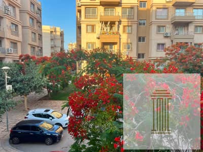 2 Bedroom Apartment for Sale in Madinaty, Cairo - WhatsApp Image 2026-10-19 at 1.03. 38 PM. jpeg 2 Bedroom Apartment for Sale in Madinaty, Cairo - WhatsApp Image 2026-10-19 at 1.03. 38 PM. jpeg