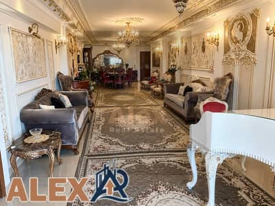 3 Bedroom Flat for Rent in Waboor Elmayah, Alexandria - WhatsApp Image 2026-10-19 at 1.03. 42 PM. jpeg 3 Bedroom Flat for Rent in Waboor Elmayah, Alexandria - WhatsApp Image 2026-10-19 at 1.03. 42 PM. jpeg
