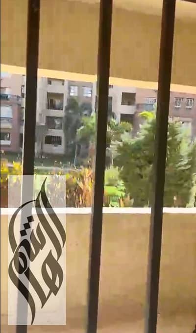 2 Bedroom Apartment for Rent in Madinaty, Cairo - Screenshot 2026-10-19 154152. png 2 Bedroom Apartment for Rent in Madinaty, Cairo - Screenshot 2026-10-19 154152. png