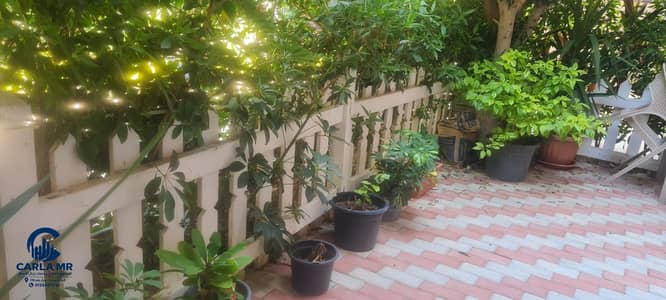 2 Bedroom Flat for Rent in New Cairo, Cairo - 1000245891. jpg