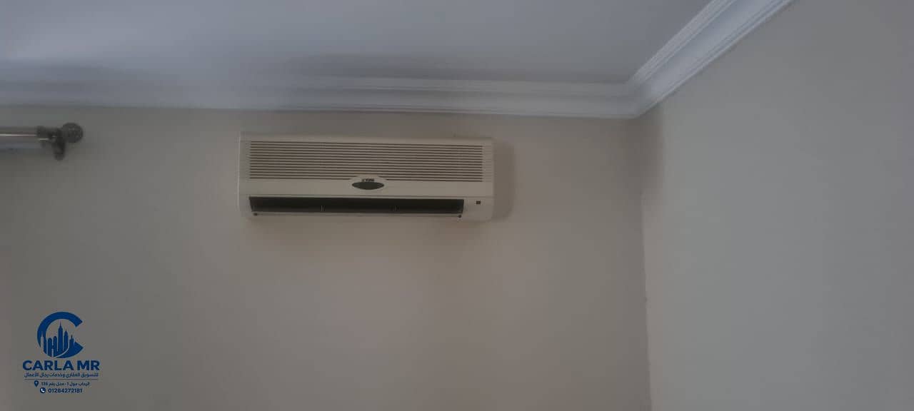 7 1000245901. jpg