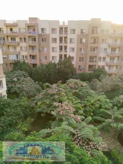 3 Bedroom Flat for Rent in Madinaty, Cairo - سؤ ةشكي. jpeg 3 Bedroom Flat for Rent in Madinaty, Cairo - سؤ ةشكي. jpeg