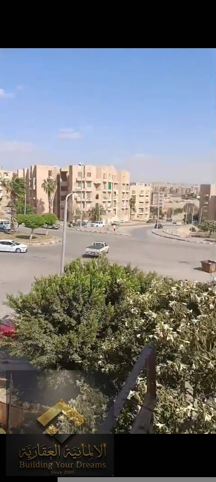 12 61841. jpg