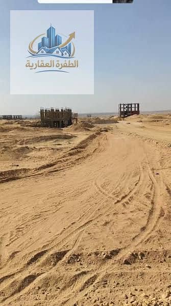 3 1000737306. jpg