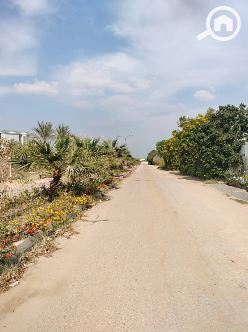 5 64118. jpg