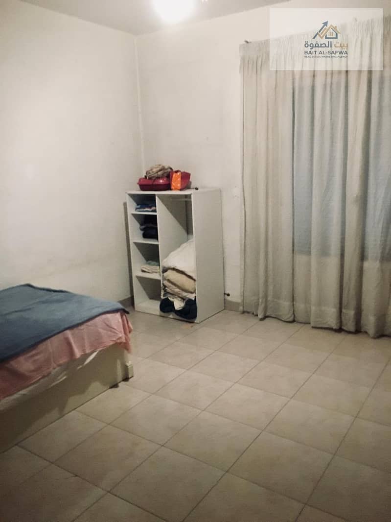 8 196478. jpg