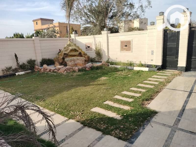3 69440. jpg