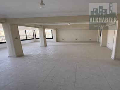 3 Bedroom Flat for Rent in Dokki, Giza - 217e1452-d716-47e9-803c-b98c387f329f. jfif. jpg