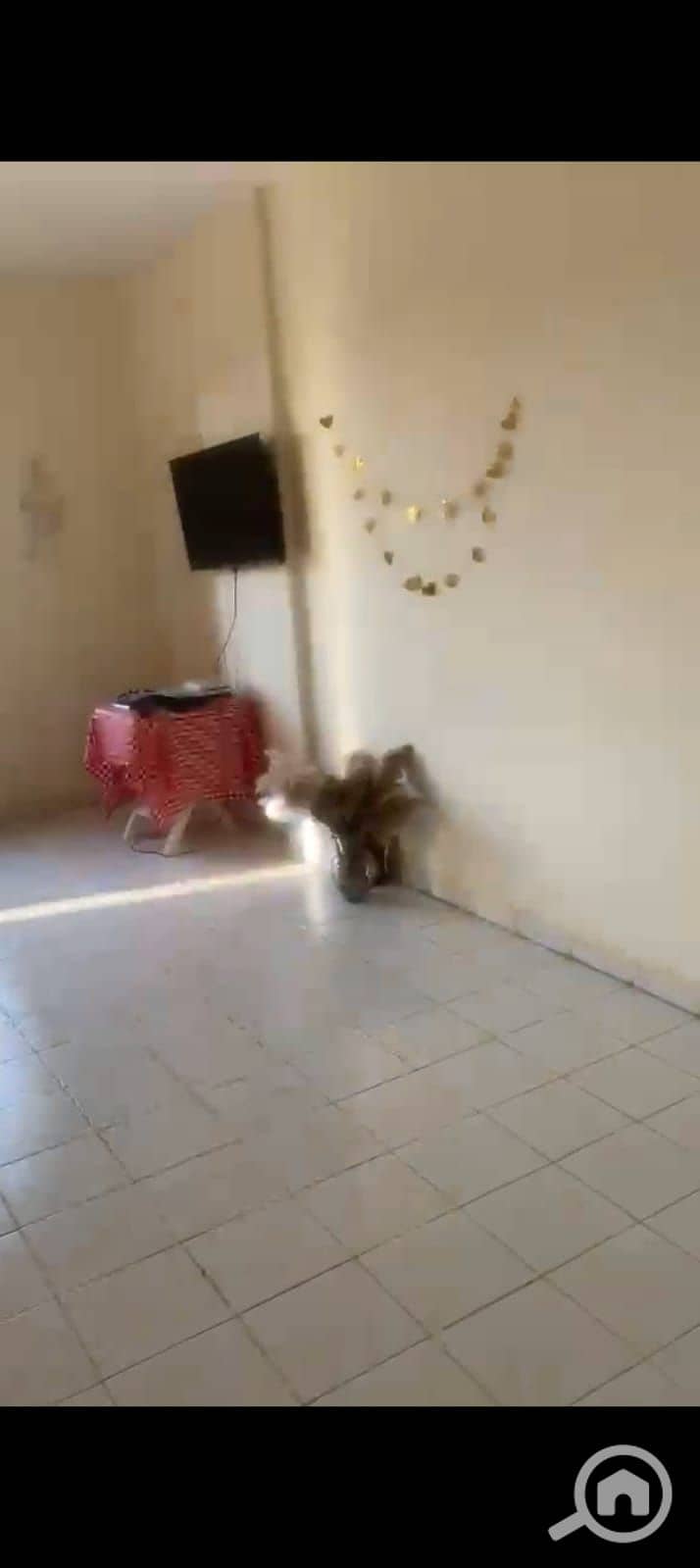2 WhatsApp Image 2026-10-19 at 5.40. 21 PM (3). jpeg