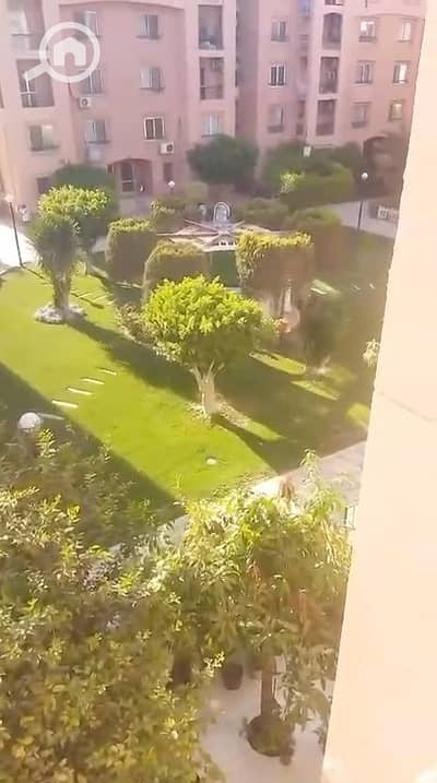 شقة 3 غرف نوم للايجار في القاهرة الجديدة، القاهرة - WhatsApp Image 2026-10-19 at 2.58. 07 PM (3). jpeg شقة 3 غرف نوم للايجار في القاهرة الجديدة، القاهرة - WhatsApp Image 2026-10-19 at 2.58. 07 PM (3). jpeg