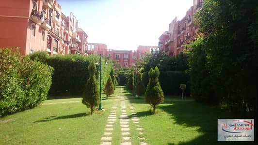 شقة 2 غرفة نوم للايجار في الشيخ زايد، الجيزة - ede9e0a1-8b52-415b-ba34-bb9a73b032dd. jpg شقة 2 غرفة نوم للايجار في الشيخ زايد، الجيزة - ede9e0a1-8b52-415b-ba34-bb9a73b032dd. jpg
