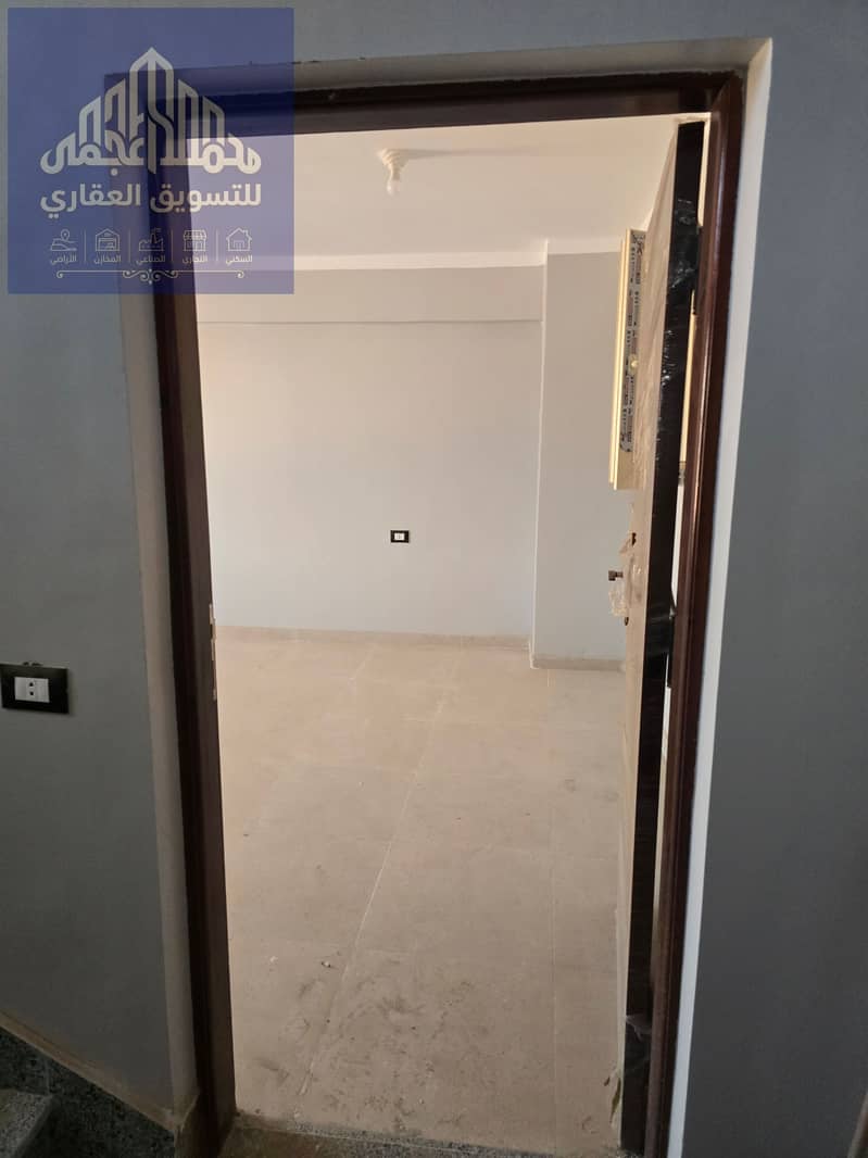 14 97573. jpg